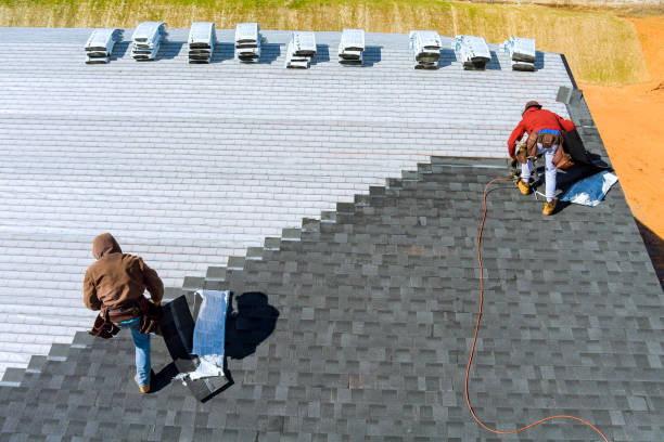 Best Roof Gutter Cleaning  in Dahlgren, VA