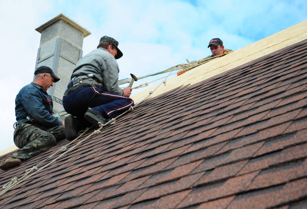 Best Commercial Roofing Services  in Dahlgren, VA